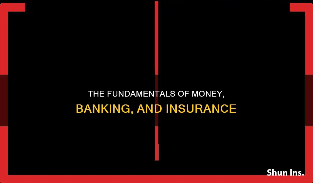 what is money banking and insurance