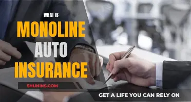 The Ultimate Guide to Monoline Auto Insurance