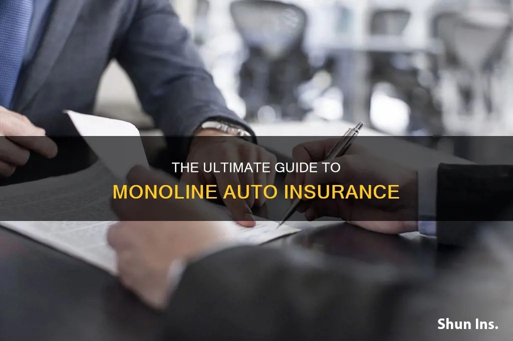 what is monoline auto insurance