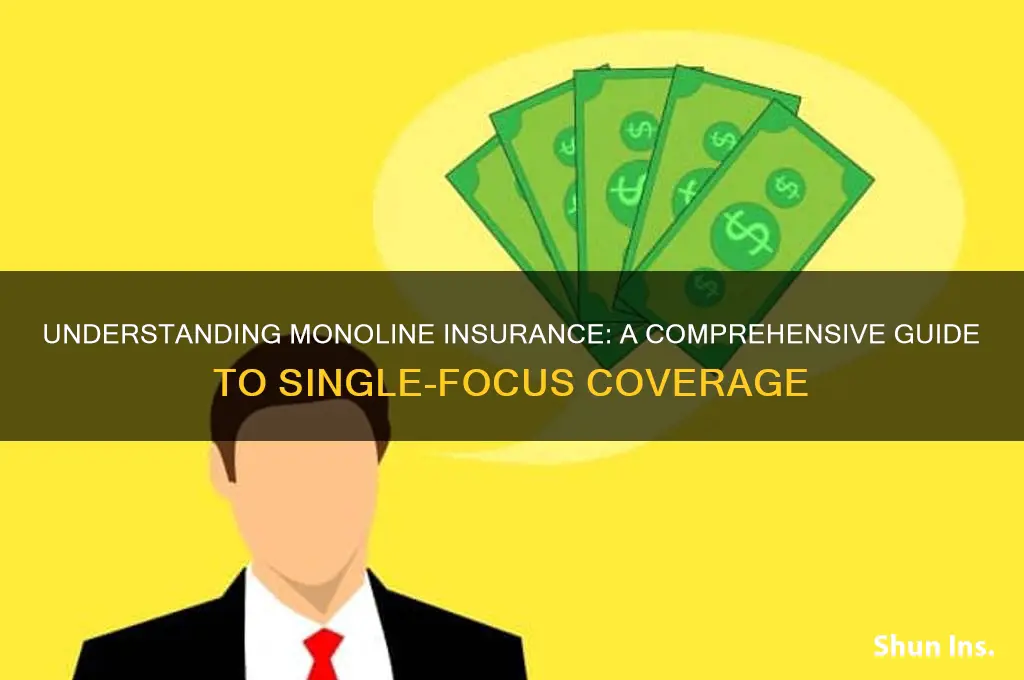 what is monoline insurance