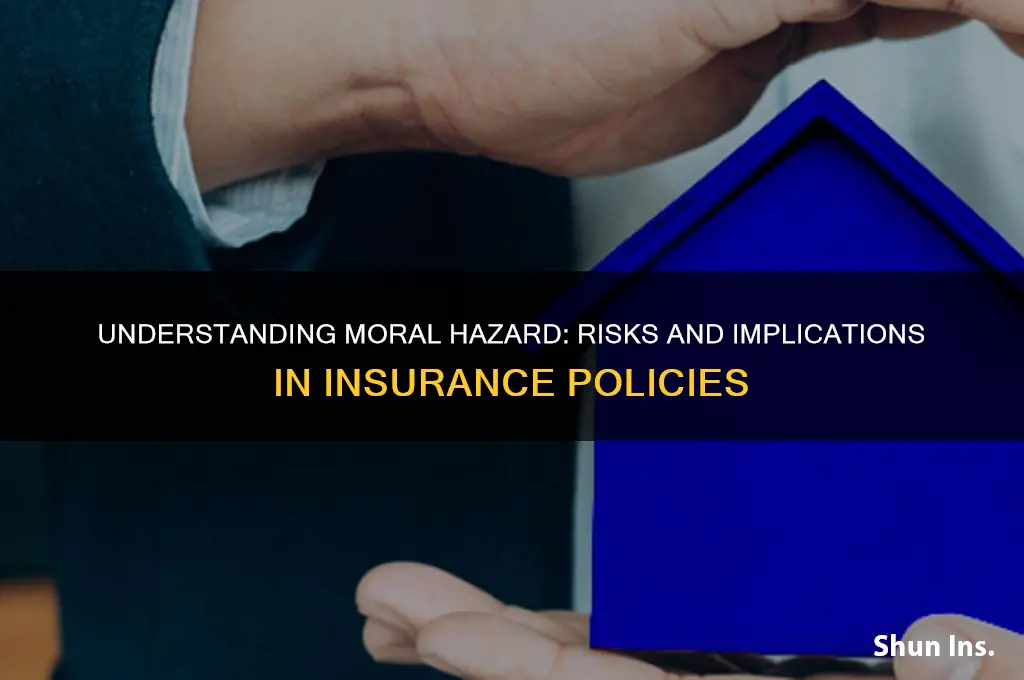 what is morale hazard in insurance