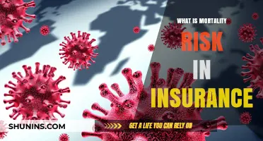 Understanding Mortality Risk in Insurance Policies