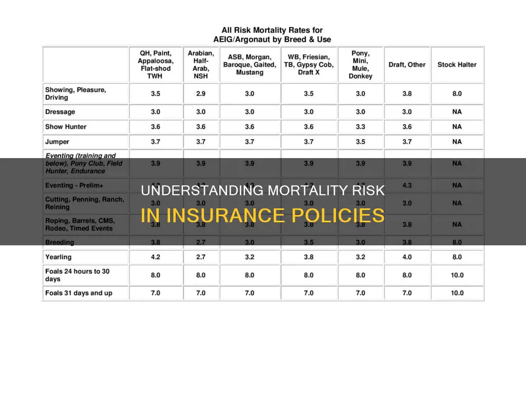 what is mortality risk in insurance