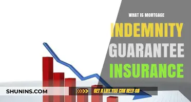 Understanding Mortgage Indemnity Guarantee Insurance