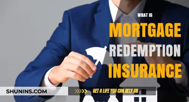 Mortgage Redemption Insurance: Protecting Your Home Loan