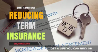 Mortgage Reducing Term Insurance: Protecting Your Home Loan