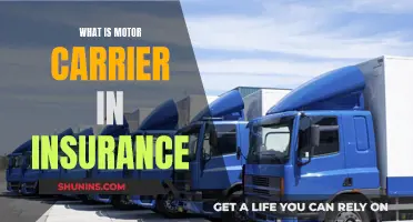 Motor Carrier Insurance: What Fleets Need to Know