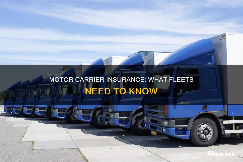 what is motor carrier in insurance