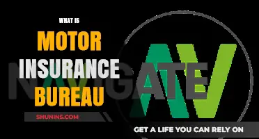 Understanding the Motor Insurance Bureau: Purpose, Function, and Benefits