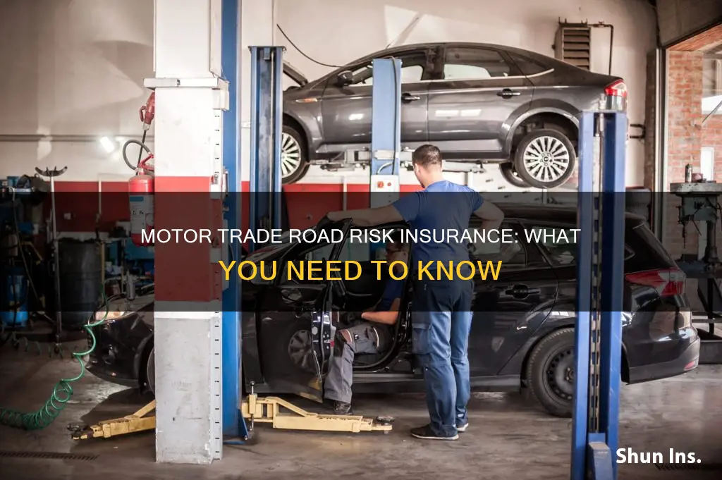 what is motor trade road risk insurance