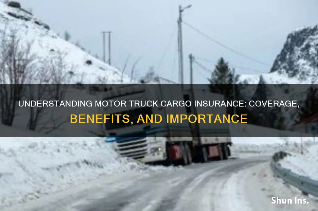 what is motor truck cargo insurance