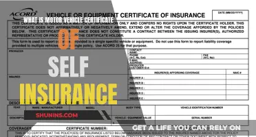 Motor Vehicle Self-Insurance Explained