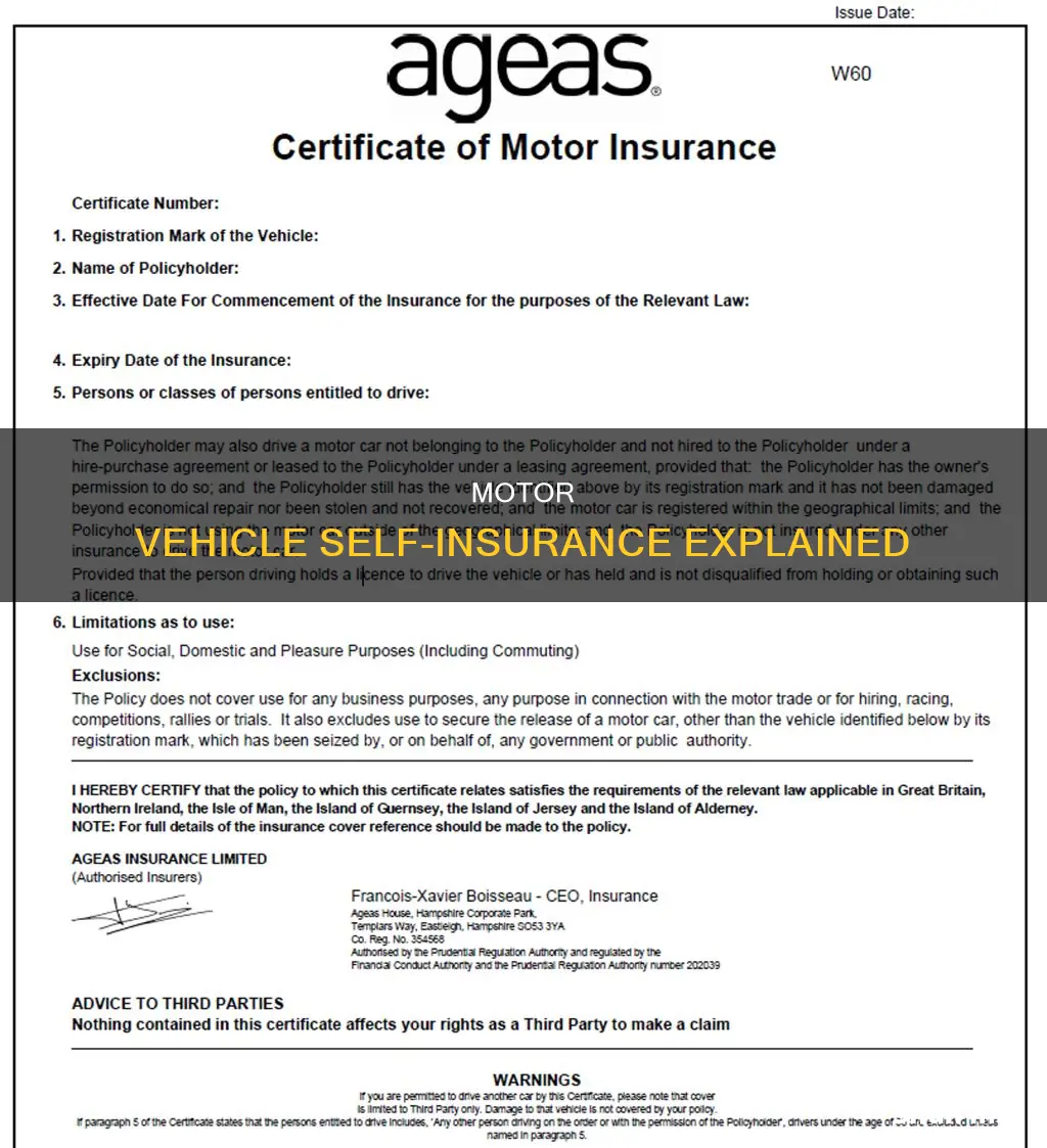 what is motor vehicle certificate of self insurance