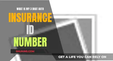 Understanding Your Auto Insurance: 3-Digit ID Number Mystery