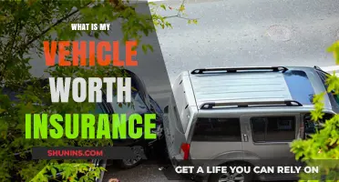 How Much is My Vehicle Worth for Insurance?