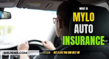 Mylo Auto Insurance: Your Personalized Policy Partner