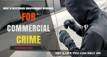 Mysterious Disappearance Insurance: Commercial Crime's Savior