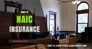 Understanding NAIC Insurance: Role, Regulation, and Consumer Protection Explained
