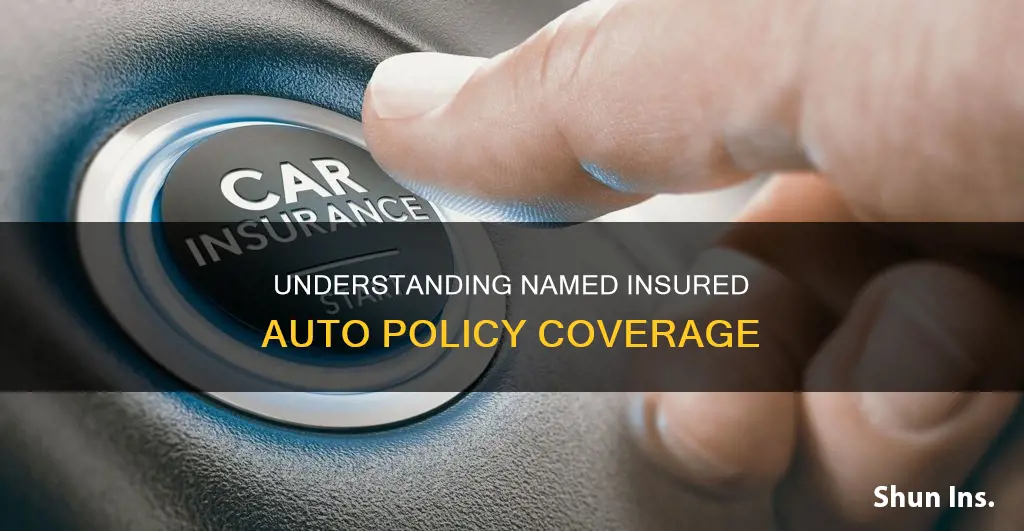 what is named insured auto policy