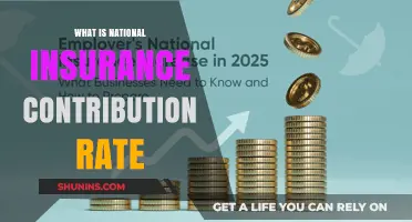 Understanding National Insurance Contribution Rates
