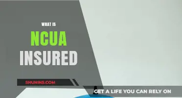 Understanding NCUA Insurance: Protecting Your Credit Union Deposits