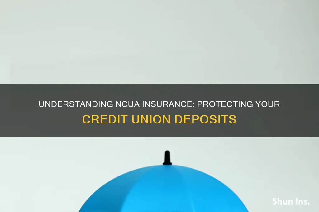what is ncua insured