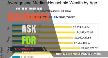 Understanding Net Worth: An Insurance Perspective