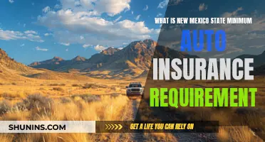 Understanding New Mexico's Auto Insurance Requirements and Minimums