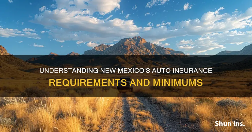 what is new mexico state minimum auto insurance requirements