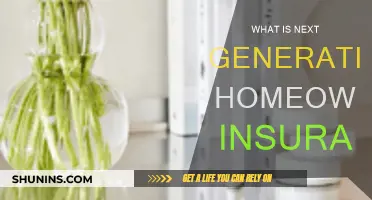 The Future of Homeowners Insurance: Next-Gen Policies