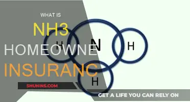 Understanding NH3: Homeowners Insurance and Its Benefits