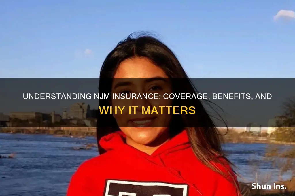 what is njm insurance
