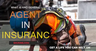 NMO General Agents: Insurance Simplified