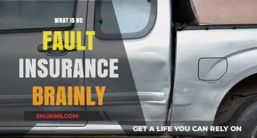 Understanding No-Fault Insurance: A Comprehensive Brainly Guide