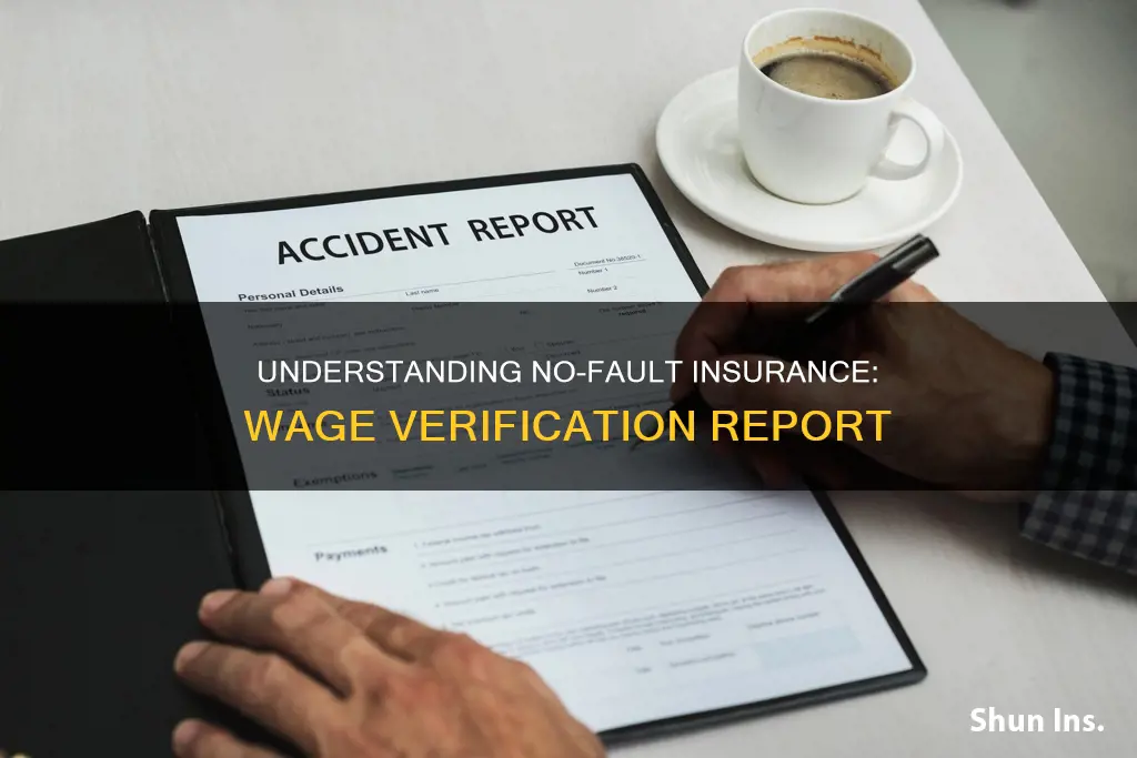 what is no-fault insurance emploer