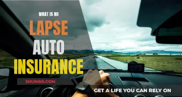 Auto Insurance Without Lapse: What You Need to Know