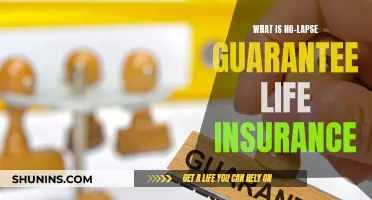 The Ultimate No-Lapse Guarantee Life Insurance Guide