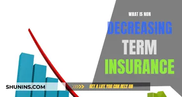 Understanding Non-Decreasing Term Insurance: A Guide to Its Benefits and Features