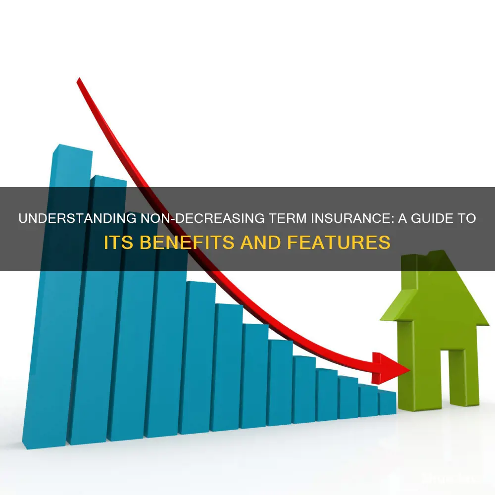 what is non decreasing term insurance