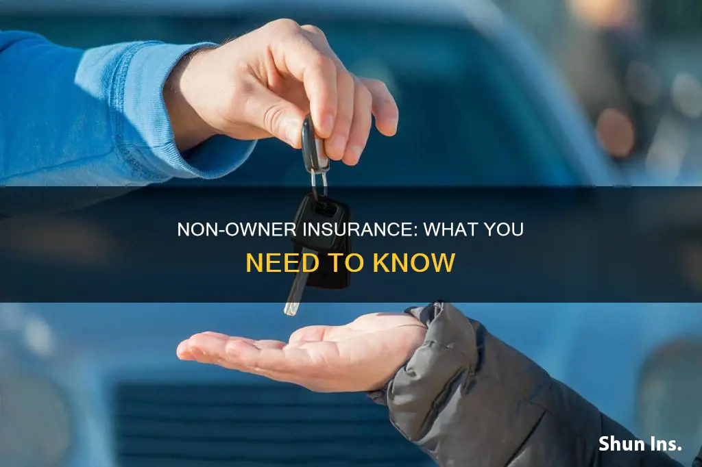 what is non owner insurance called : wallethub