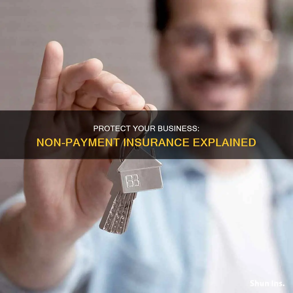 what is non payment insurance