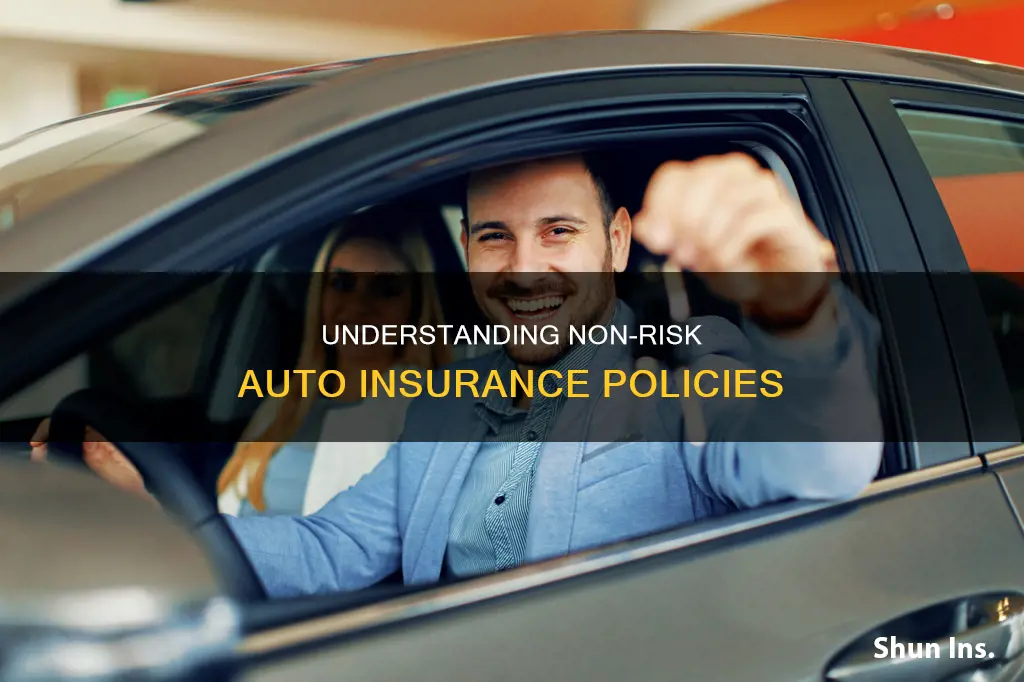 what is non risk insurance to drive