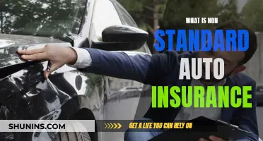 Non-Standard Auto Insurance: Who's Covered?