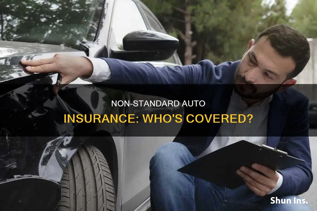 what is non standard auto insurance