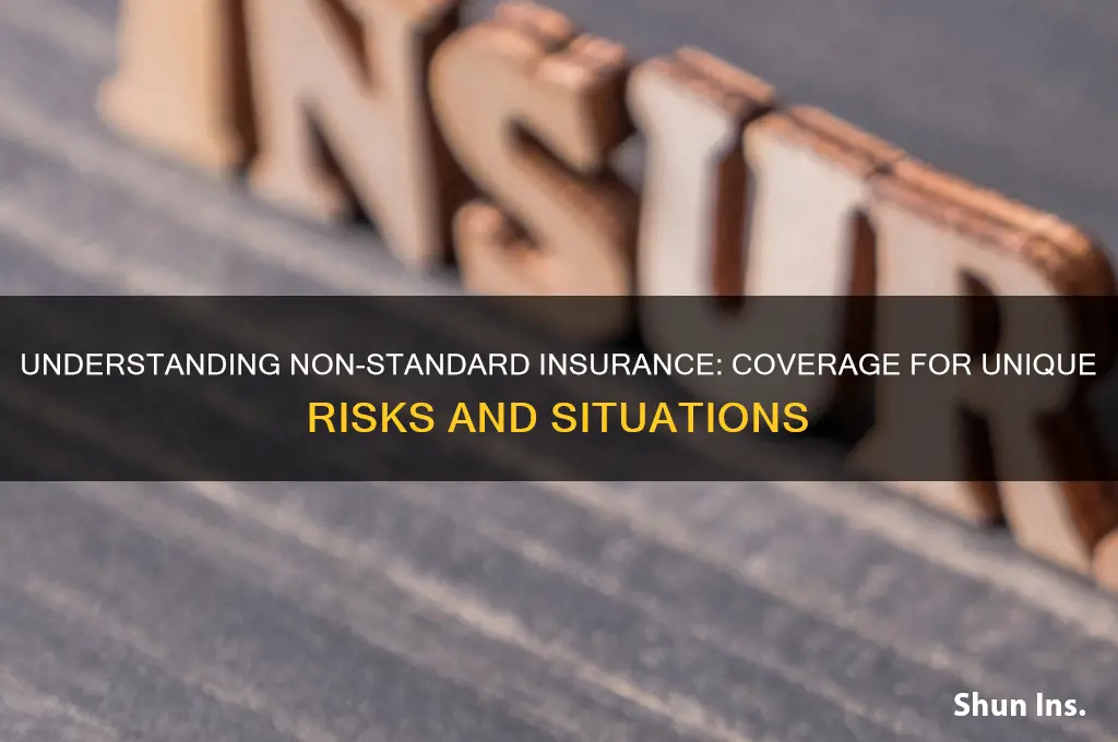 what is non standard insurance