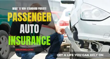 Understanding Non-Standard Auto Insurance for Private Passengers