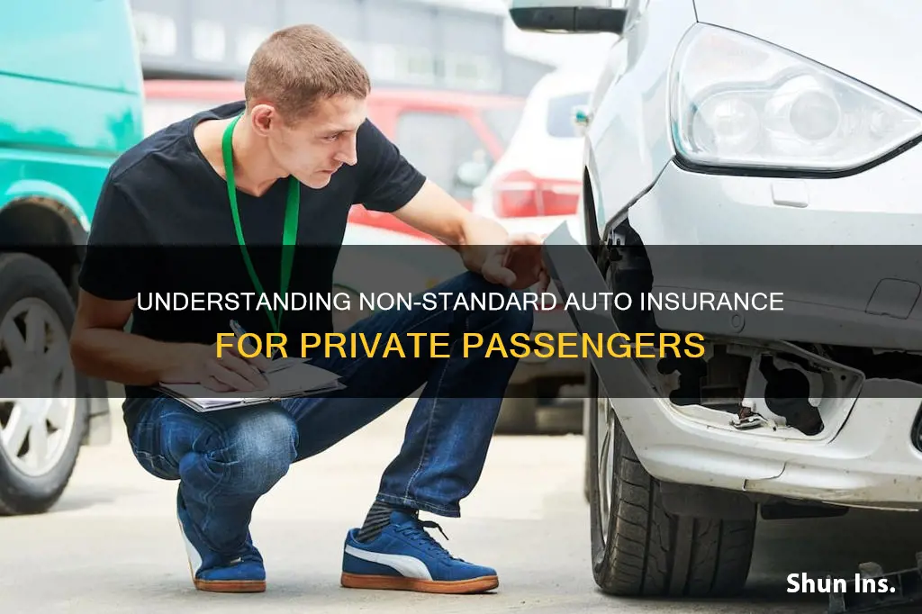 what is non-standard private passenger auto insurance