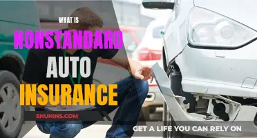 Understanding Nonstandard Auto Insurance and Its Benefits