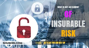 Understanding Uninsurable Risks: What's Not Covered?