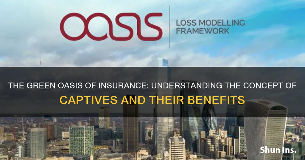 what is oasis in insurance terms